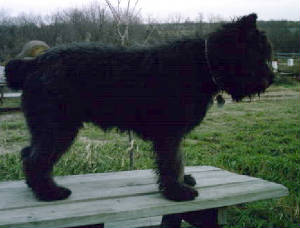 11-12-06009.jpg