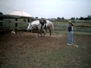 may24006b013.jpg