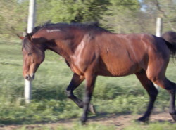 cody193.jpg