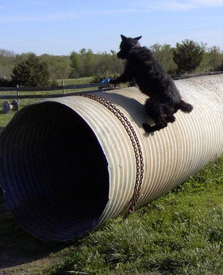 hannahandculvert136.jpg