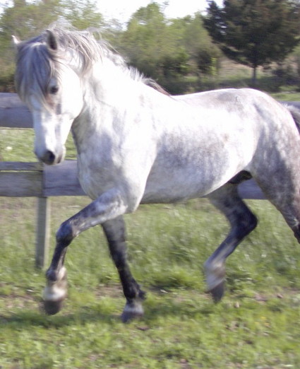 weaver002.jpg